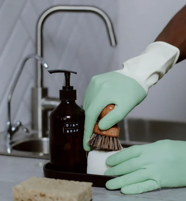 domestic-cleaning