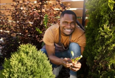 garden-maintenance-northampton-month-by-month