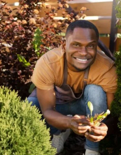 garden-maintenance-northampton-month-by-month