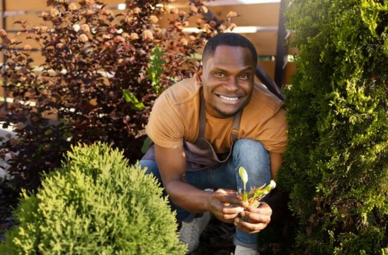 garden-maintenance-northampton-month-by-month