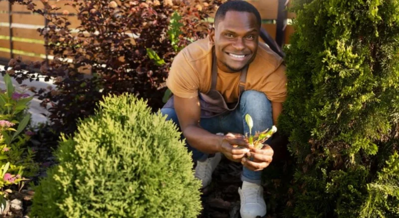 gardening-landscaping