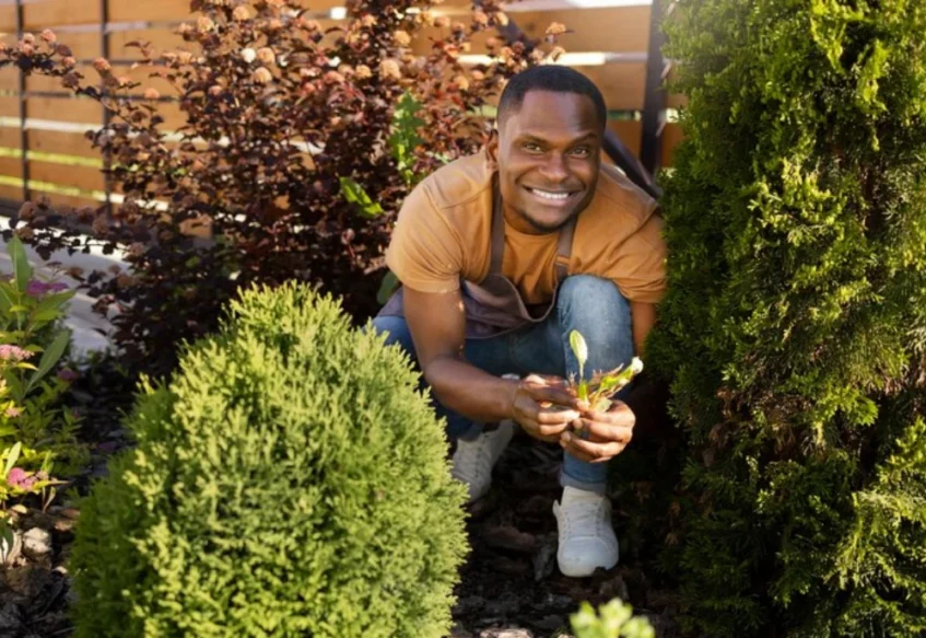 gardening-landscaping